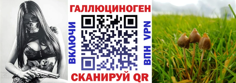Купить закладки Гулькевичи Псилоцибиновые грибы мухоморы